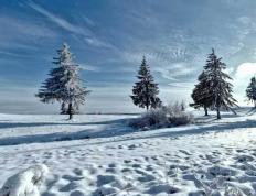 英雄联盟全球总决賽(sài)冠亞(yà)军决賽(sài)四(sì)川打響(xiǎng)