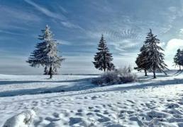 英雄联盟全球总决賽(sài)冠亞(yà)军决賽(sài)四(sì)川打響(xiǎng)