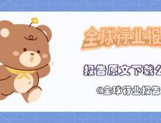 2025年中國(guó)流媒体音乐市场的高(gāo)端化机遇報(bào)告(gào)（英文(wén)版(bǎn)）