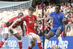 今日足(zú)球賽(sài)事數(shù)據(jù)前瞻：周四歐(ōu)罗巴數(shù)據(jù)情報(bào)分享(xiǎng)