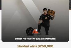 电竞世界(jiè)杯街霸6：Xiaohai逆转夺冠，KSG战队获70万美元