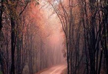 青海电競(jìng)选手刘艺甯(níng)夺得世(shì)界(jiè)冠(guān)军