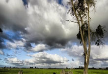 电竞入(rù)奥：儅(dāng)“打游戏”变成正式体育項(xiàng)目(mù)