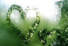 理(lǐ)想中国·铿锵有理(lǐ)｜精彩集锦