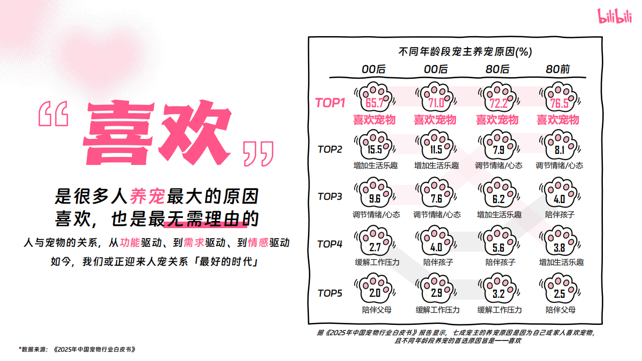 嗶(bì)哩(lī)嗶(bì)哩(lī)運(yùn)营:嗶(bì)哩(lī)嗶(bì)哩(lī)2025年(nián)宠物行(xíng)业营销通案