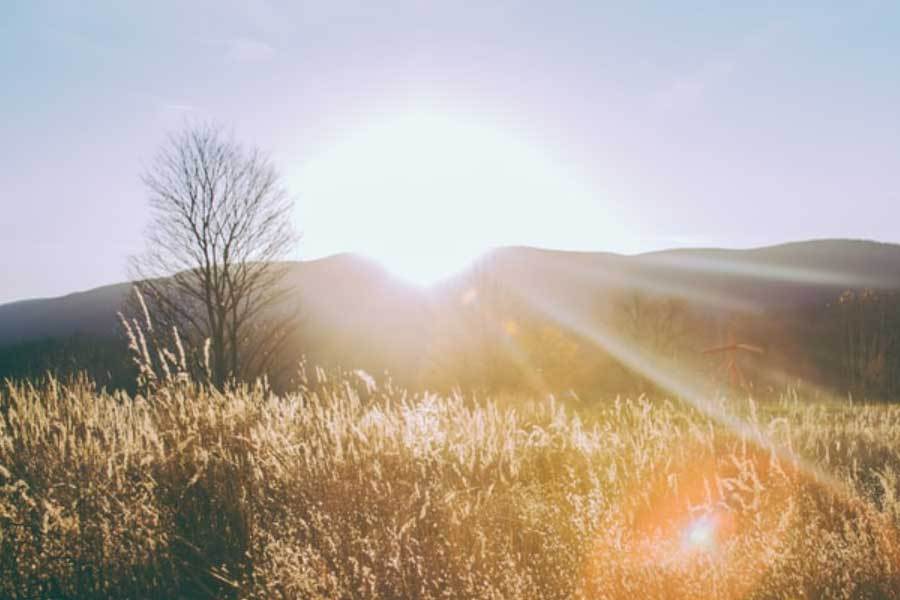 中國(guó)电竞队在亚运会摘得四金